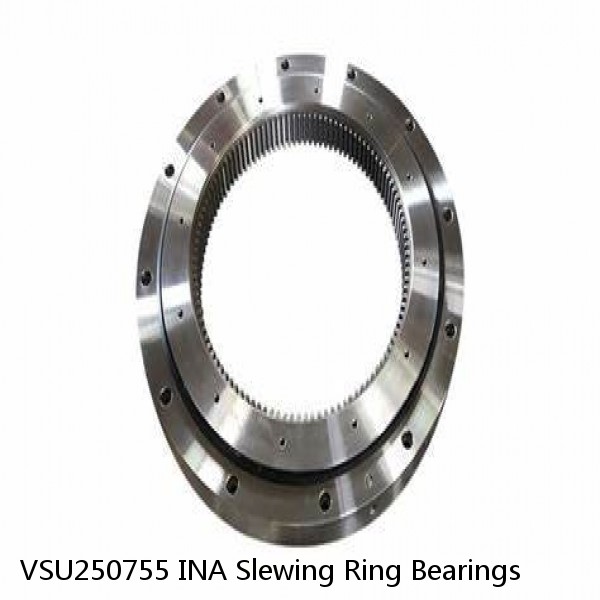 VSU250755 INA Slewing Ring Bearings