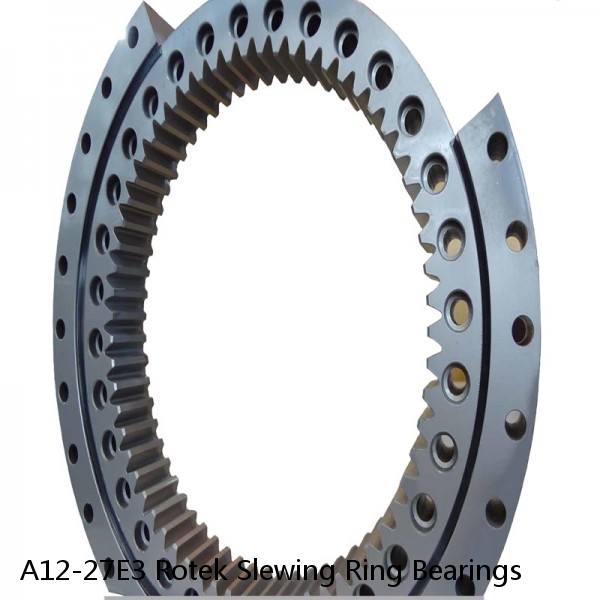 A12-27E3 Rotek Slewing Ring Bearings