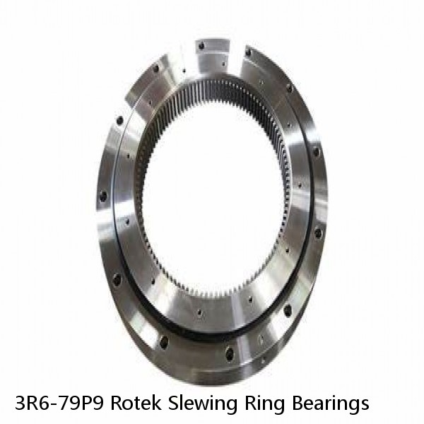 3R6-79P9 Rotek Slewing Ring Bearings #1 small image