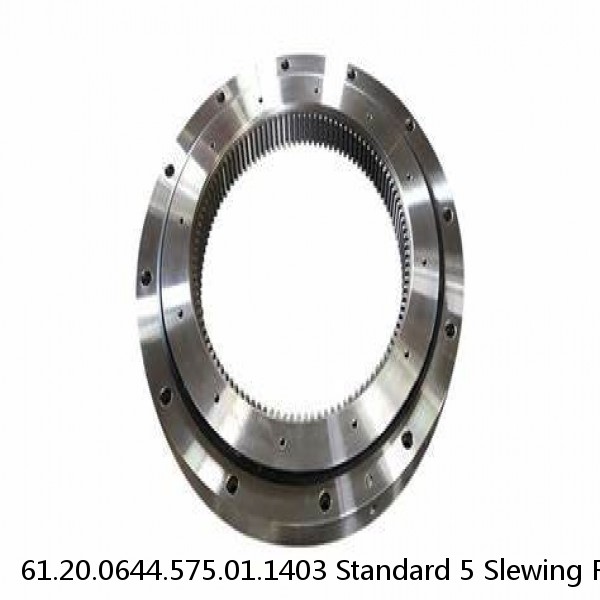 61.20.0644.575.01.1403 Standard 5 Slewing Ring Bearings #1 small image