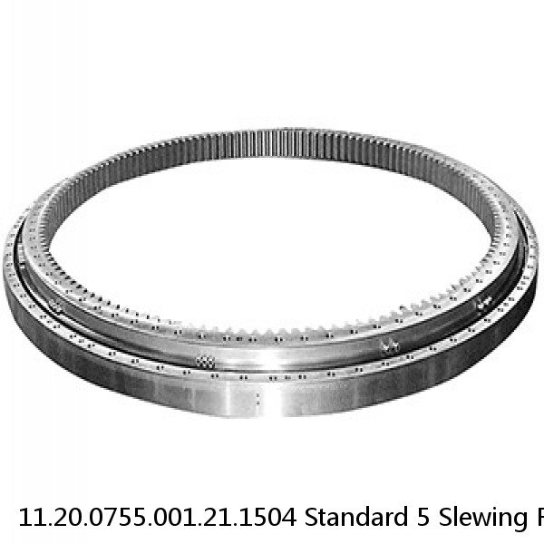 11.20.0755.001.21.1504 Standard 5 Slewing Ring Bearings #1 small image