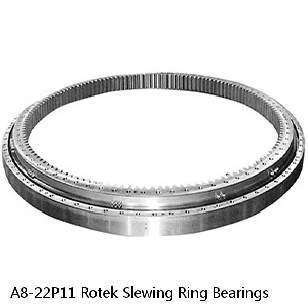 A8-22P11 Rotek Slewing Ring Bearings #1 small image