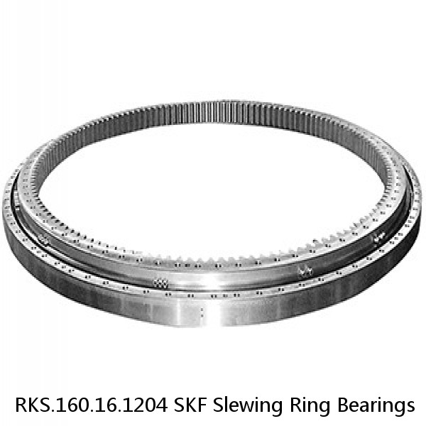 RKS.160.16.1204 SKF Slewing Ring Bearings