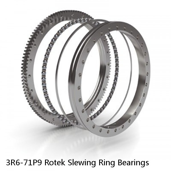 3R6-71P9 Rotek Slewing Ring Bearings #1 small image