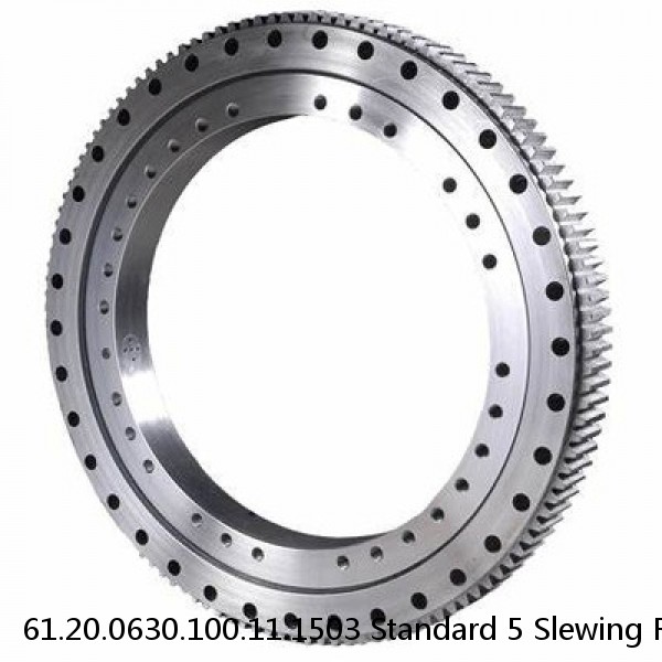 61.20.0630.100.11.1503 Standard 5 Slewing Ring Bearings #1 small image