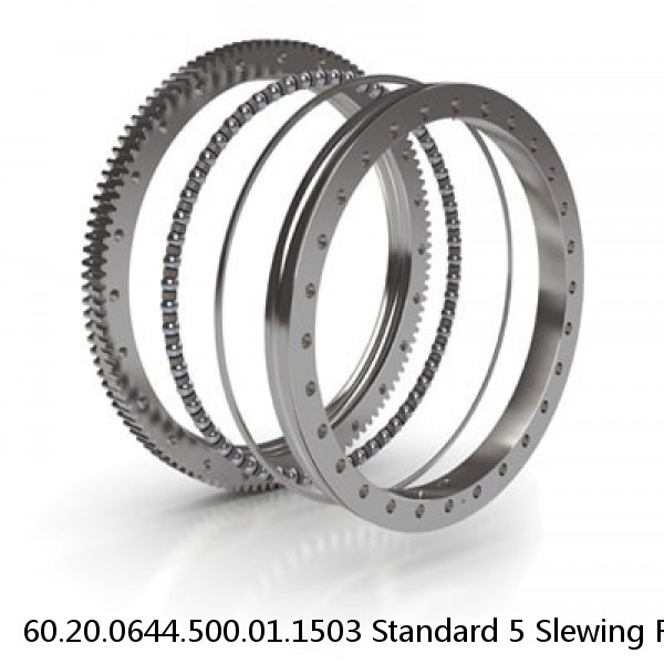 60.20.0644.500.01.1503 Standard 5 Slewing Ring Bearings #1 small image