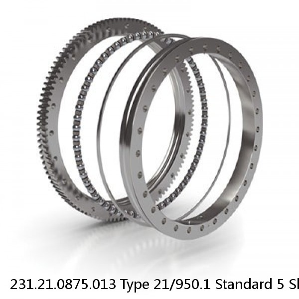 231.21.0875.013 Type 21/950.1 Standard 5 Slewing Ring Bearings #1 small image