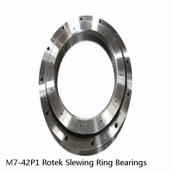M7-42P1 Rotek Slewing Ring Bearings #1 image