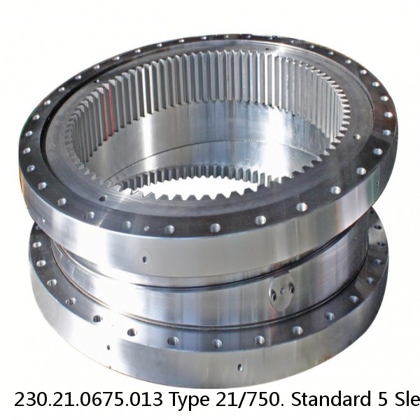 230.21.0675.013 Type 21/750. Standard 5 Slewing Ring Bearings #1 image