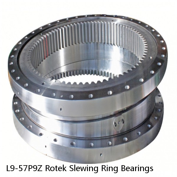 L9-57P9Z Rotek Slewing Ring Bearings #1 image