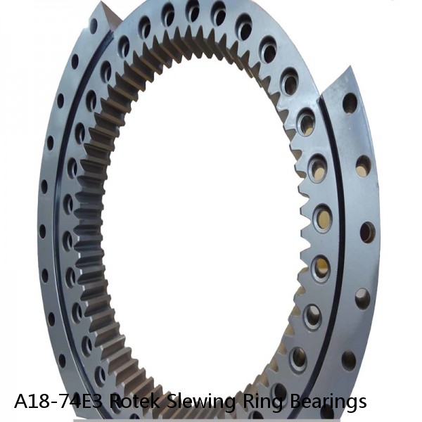 A18-74E3 Rotek Slewing Ring Bearings #1 image