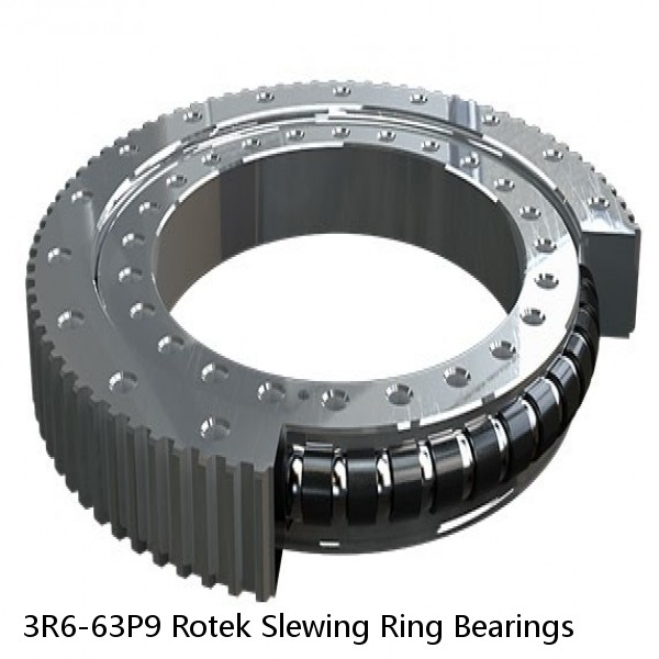 3R6-63P9 Rotek Slewing Ring Bearings #1 image